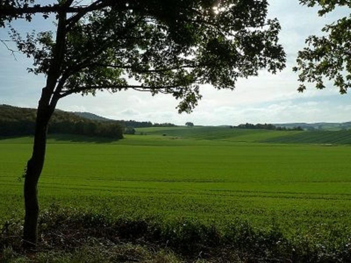 Feriendorf Sulzfeld Villa Sulzfeld  Esterno foto